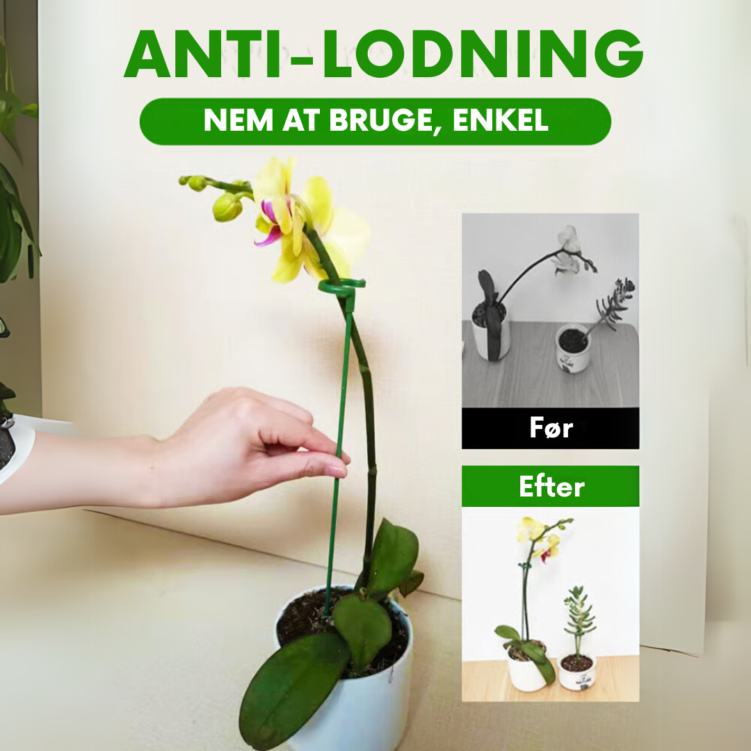 Planteværn - 10 stk. Holdbare Plante Støttebeslag