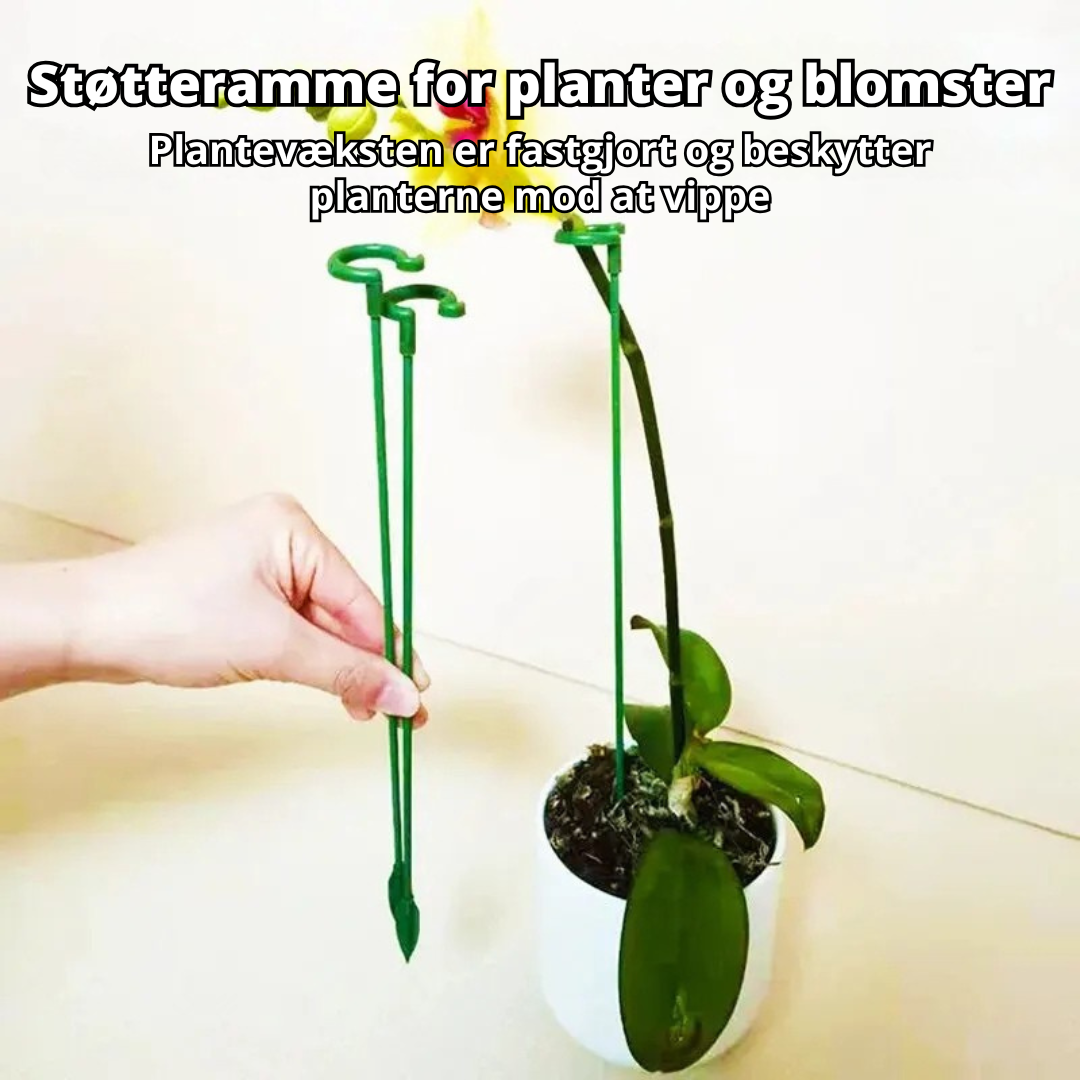 Planteværn - 10 stk. Holdbare Plante Støttebeslag
