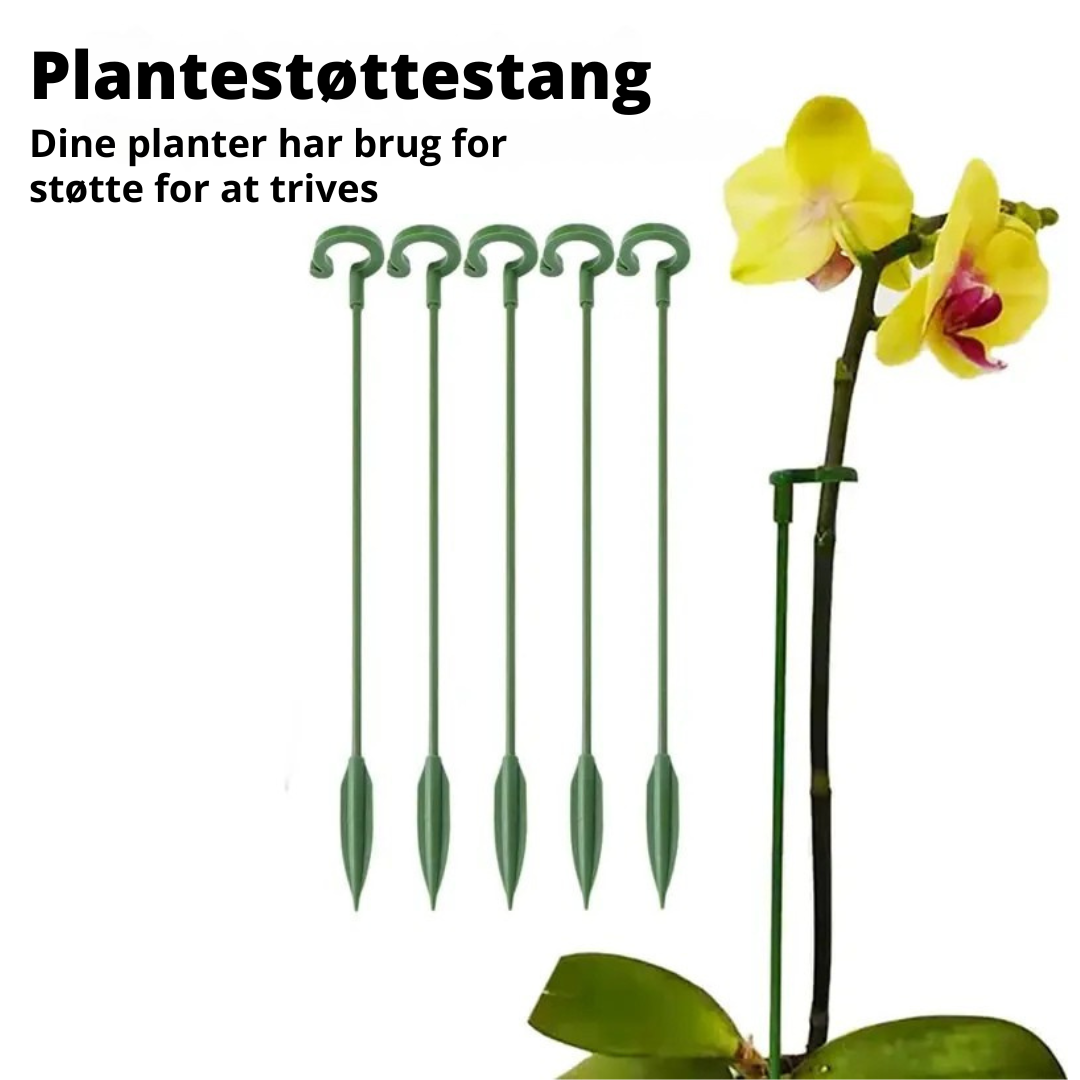 Planteværn - 10 stk. Holdbare Plante Støttebeslag