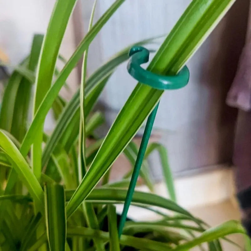 Planteværn - 10 stk. Holdbare Plante Støttebeslag