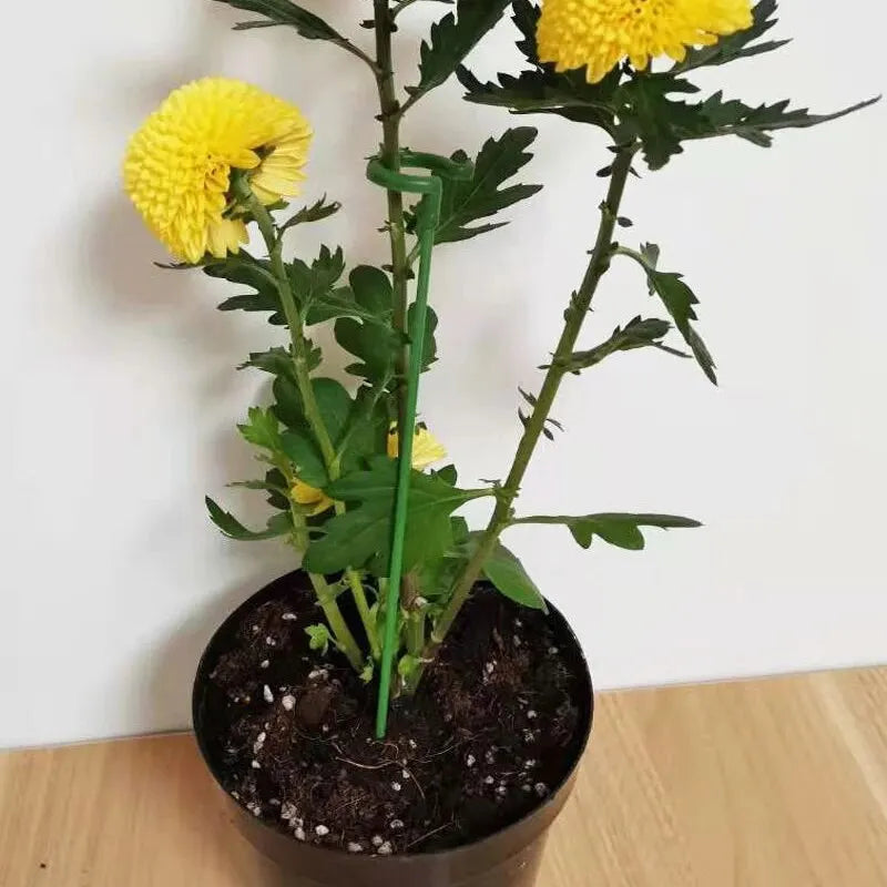 Planteværn - 10 stk. Holdbare Plante Støttebeslag